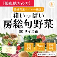 【関東へ配送の方】80サイズ箱いっぱい房総旬野菜詰め合わせ（80サイズ箱） 80サイズ箱いっぱい 果物や野菜などのお取り寄せ宅配食材通販産地直送アウル
