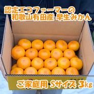 和歌山有田産・秀品・極早生みかん（Lサイズ） ｜ 果物/温州みかん