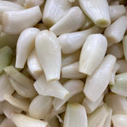 土付きらっきょう1.8kg ｜ 野菜/その他野菜 産直アウル 農家・漁師など