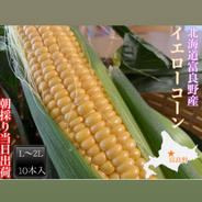 北海道富良野産 イエローコーンL〜2L 10本入 イエローコーンL〜2L 10本入　 果物や野菜などのお取り寄せ宅配食材通販産地直送アウル