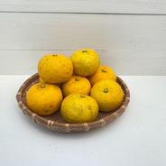 柚子 ゆず　2kg 農薬・化学肥料不使用 2kg 果物や野菜などのお取り寄せ宅配食材通販産地直送アウル