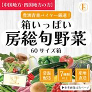 【中国地方・四国地方へ配送の方】60サイズ箱いっぱい房総旬野菜詰め合わせ（60サイズ箱） 60サイズ箱いっぱい 果物や野菜などのお取り寄せ宅配食材通販産地直送アウル