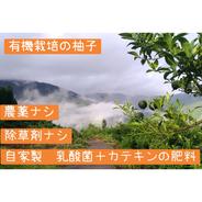 宮崎県西米良の青ゆず　有機栽培　無農薬 2kg 果物や野菜などのお取り寄せ宅配食材通販産地直送アウル