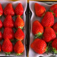 【新品種べにたま】４パック(1Kg) ついに解禁🍓 ４パック(1Kg) 果物や野菜などのお取り寄せ宅配食材通販産地直送アウル