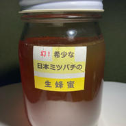 熊本県産】地蜂蜜 非加熱・無添加高濃度日本みつばち蜂蜜500g x 3