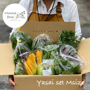 『自然栽培』旬の野菜セットM/80サイズ 旬の野菜8-10種類詰め合わせ/野菜がお好きな方2ー3名が3ー4日で食べ切れる量 果物や野菜などのお取り寄せ宅配食材通販産地直送アウル