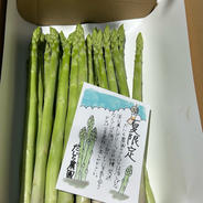 アスパラガス　2キロ 2キロ 果物や野菜などのお取り寄せ宅配食材通販産地直送アウル