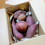 べにはるか&ふくむらさき食べ比べセット ｜ 野菜/さつまいも 産直