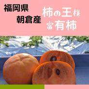 『ご家庭用』ばぁちゃん家で食べたあの味が蘇る…福岡朝倉産　クロレラ富有柿富有柿ご家庭用18-20玉 富有柿ご家庭用18-20玉 果物や野菜などのお取り寄せ宅配食材通販産地直送アウル