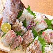 【飲食店向け】南伊勢のブランド真鯛を食べ比べ♪産地直送でお届け【食べ比べ】 食べ比べ1〜1.2kg（加工前） 果物や野菜などのお取り寄せ宅配食材通販産地直送アウル