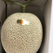 旬屋クイズ正解者専用 1.7kgの〜2.2kg以内　２玉入り🍈 果物や野菜などのお取り寄せ宅配食材通販産地直送アウル