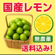 和歌山県産 おおもの ヤングコーン 100本 ｜ 野菜/とうもろこし 産直