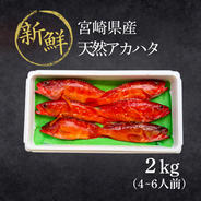 漁師直送！アカハタ　２kg ２㎏　4匹～8匹 果物や野菜などのお取り寄せ宅配食材通販産地直送アウル
