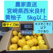 宮崎県 西米良の青ゆず キズ少なめ 約5kg | 果物/香酸柑橘(ライム