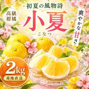【ꕤ418】はるか『ご家庭用』熊本みかん（20kg） 規格外品】はるか ご家庭用 10kg サイズ不選別 サラダみかん 柑橘