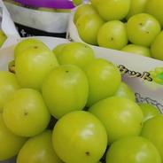 🍇秋ギフト🍇【幻の牧丘天空シャインマスカット】最高糖度25度オーバー高原地で育つ幻の葡萄『9月下旬発送』約2kg4～8房【朝どれ高級ぶどう】【家庭用にも】 牧丘シャイン2kg4～8房 果物や野菜などのお取り寄せ宅配食材通販産地直送アウル