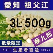 2026年新物！ 愛知県 祖父江産 藤九郎 銀杏 ぎんなん 4L 1.5kg ☆秋の