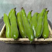 そら豆1.9kg 最終 訳あり格安 無農薬【アウル初出品サ−ビス価格