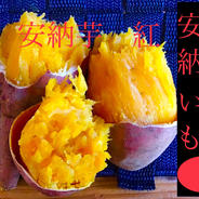 さつまいもの王道 種子島産安納芋 MSサイズ4.5kg | 野菜/さつまいも