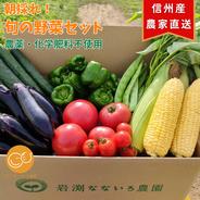 【マタニティフード認定☆】朝採れ新鮮野菜を信州の高原よりお届け！！旬の野菜セット７種（レギュラー） 旬の野菜セット７種(レギュラー) 果物や野菜などのお取り寄せ宅配食材通販産地直送アウル
