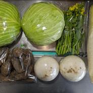キャベツ、ダイコン、カブ、サトイモ、アスパラ菜 約5.6kg 果物や野菜などのお取り寄せ宅配食材通販産地直送アウル