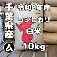 千葉県産 令和8年産 コシヒカリ 白米 20kg ｜ 米・穀物/米/精米 産直