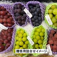 信州安曇野産 春芽アスパラガス Mサイズ 約1kg ｜ 野菜/アスパラガス