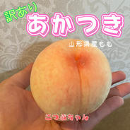 山形県産青梅♡白加賀梅♡1.2キロお試しサイズ♡ ｜ 果物/青梅 産直