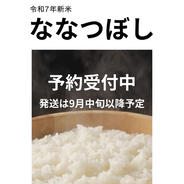 (予約受付中)令和7年産北海道ななつぼし10kg✖️2袋 20kg 果物や野菜などのお取り寄せ宅配食材通販産地直送アウル