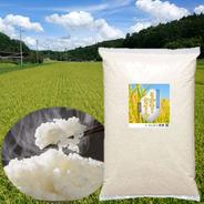 あっさり派に】食べ飽きない軽やかな味わい｜あきさかり精米20kg ｜ 米