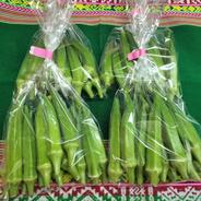 オクラ60本　発送タイミングおまかせ オクラ60本 果物や野菜などのお取り寄せ宅配食材通販産地直送アウル