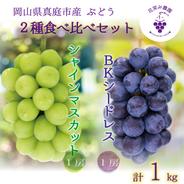 BS-1　花笑み農園　岡山の『シャインマスカット＆BKシードレス』1kg【9/21～順次発送】 １ｋｇ（シャインマスカット１房、BKシードレス１房） 果物や野菜などのお取り寄せ宅配食材通販産地直送アウル