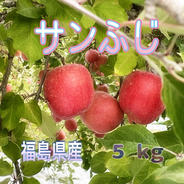 福島県産りんご『サンふじ 家庭用 5kg』 5kg 果物や野菜などのお取り寄せ宅配食材通販産地直送アウル
