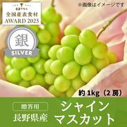 贈答用シャインマスカット1kg（2房）【銀賞受賞】／本気農場いけだ 約1kg（2房） 果物や野菜などのお取り寄せ宅配食材通販産地直送アウル
