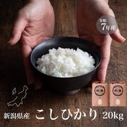 新潟県産コシヒカリ,和泉,5kg,令和7年新米,【受注後精米・農家直売