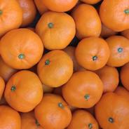 安間農園の三岳みかん🍊【優秀品】 10kg 果物や野菜などのお取り寄せ宅配食材通販産地直送アウル