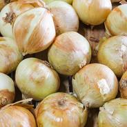 千葉県産あったら便利あま～い玉ねぎ5㎏ 5kg  果物や野菜などのお取り寄せ宅配食材通販産地直送アウル