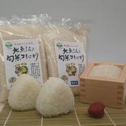 魚沼産旬米ｺｼﾋｶﾘ      300g袋 300g×10袋 果物や野菜などのお取り寄せ宅配食材通販産地直送アウル