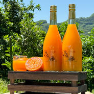 太陽と海🍊オリジナルブレンドジュース🥤（720ml×4） 720ml×4 果物や野菜などのお取り寄せ宅配食材通販産地直送アウル