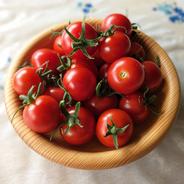 青森県産 ミニトマト ほれまる 1.2kg 1.2kg（200g×6袋） 果物や野菜などのお取り寄せ宅配食材通販産地直送アウル