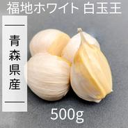 にんにく 【青森県産】福地ホワイト六片 500g 産直野菜 | 野菜