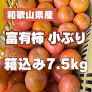 富有柿 ご家庭用 訳あり 箱込み6キロ ｜ 果物/柿 産直アウル 農家
