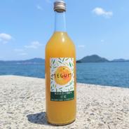 【農薬不使用】無添加果汁100％！甘夏ジュース 720ml ×6本 720ml 6本 果物や野菜などのお取り寄せ宅配食材通販産地直送アウル