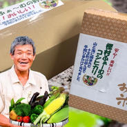 塚本様専用野菜セット 果物や野菜などのお取り寄せ宅配食材通販産地直送アウル