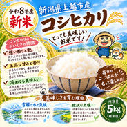 新米 令和7年産 千葉県産 コシヒカリ 白米 10kg ｜ 米・穀物/米/精米