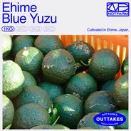 OUTTAKES】訳あり 青ゆず5kg 愛媛県産 青柚子 BLUE YUZU ｜ 果物/香酸