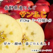 贈答用】サンふじ 約5kg（11～18個）長野県産りんご 【お歳暮】等に