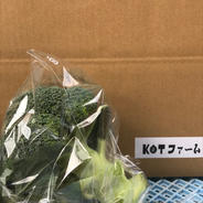 採れたてブロッコリー ６個 果物や野菜などのお取り寄せ宅配食材通販産地直送アウル