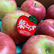 [送料無料]葉取らずシナノスイート　約5kg  12〜16玉 葉取らずシナノスイート約5kg 12〜16玉 果物や野菜などのお取り寄せ宅配食材通販産地直送アウル