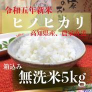 令和五年新米 高知県産「ヒノヒカリ」無洗米箱込み5kg 無洗米箱込み5kg 果物や野菜などのお取り寄せ宅配食材通販産地直送アウル